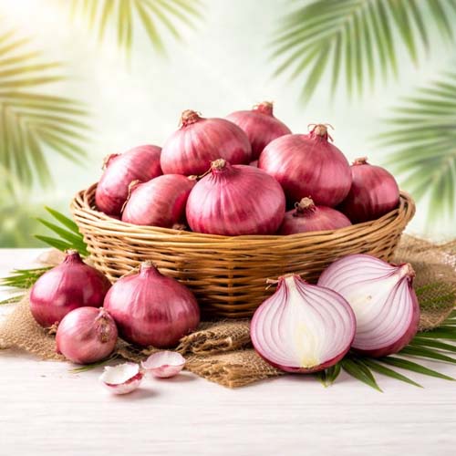 Nasik Onion (Big & Small)